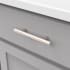 Satin Nickel